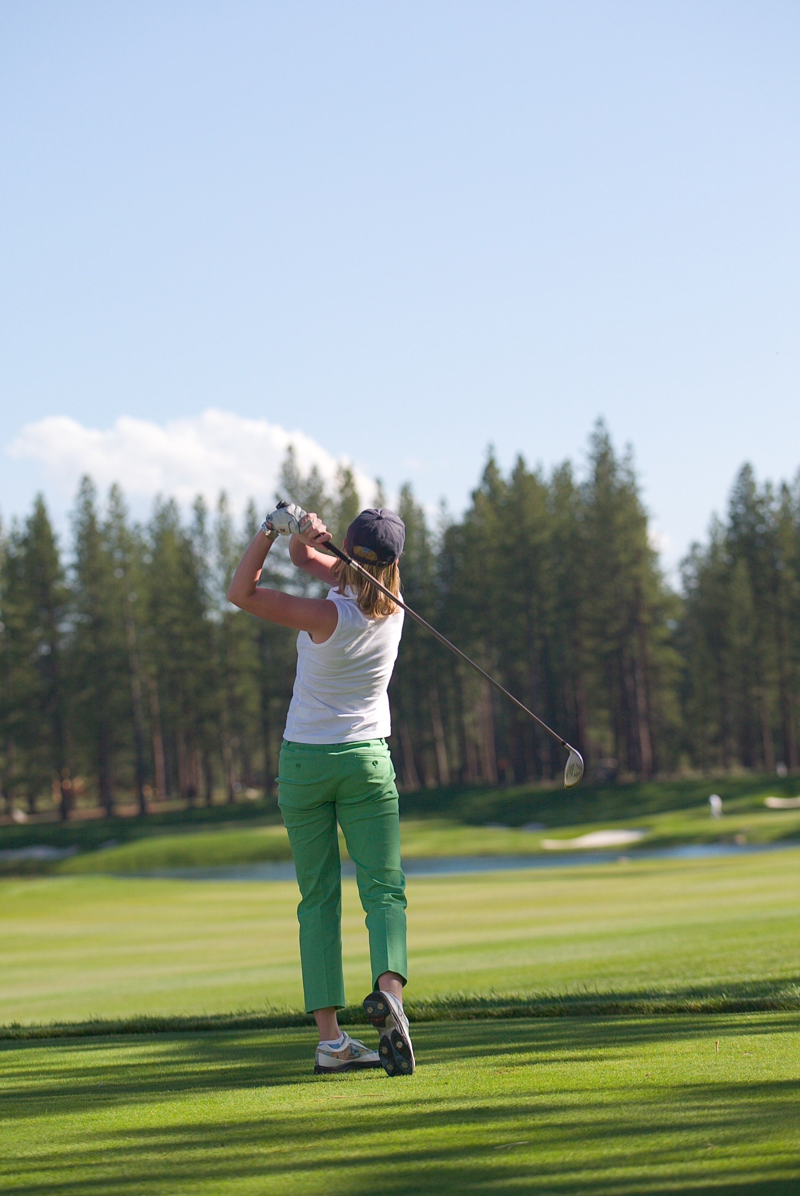 Contact Information: Daphne Hougard P.O. Box 343, Truckee, CA 96160 phone 530-582-5703, cell 415-302-0733 email: daphne@daphnehougard.com